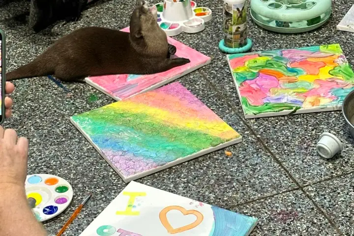 Otters on art supplies with colorful paintings and people nearby on a speckled floor.