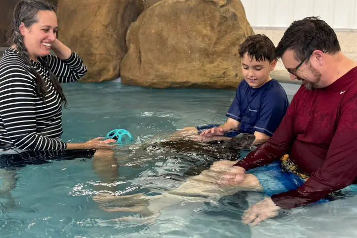 Three people interacting with an otter in a pool near large rocks, all smiling and playing.