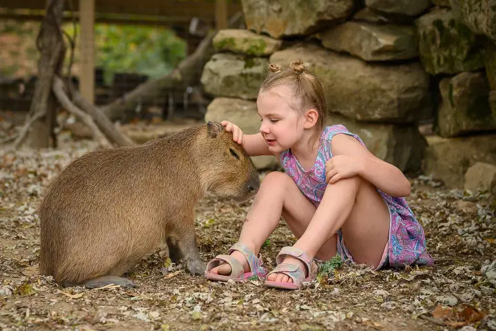 Child sitting on ground, petting a capybara in a natural setting.