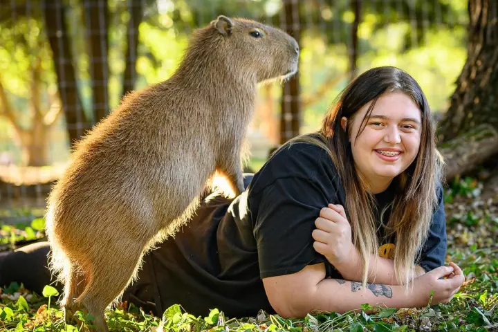 Smiling person lying on grass with a capybara standing on their back.