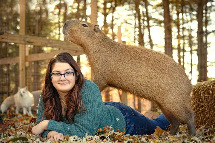 Person in glasses lying on leaves with capybara nearby, fenced area in background.